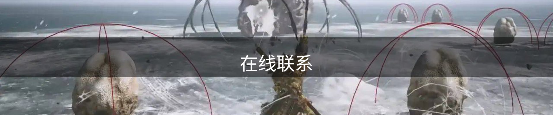 在线联系